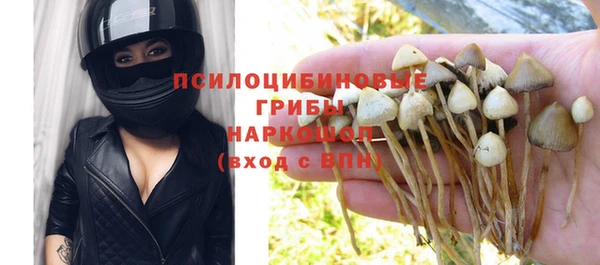 прущие грибы Алексеевка