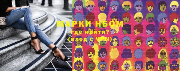 стафф Михайловск