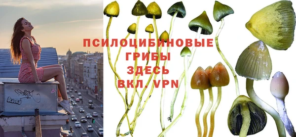 mix Алексин