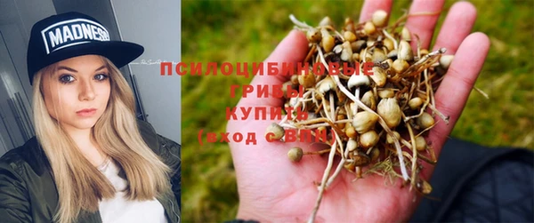 mix Алексин