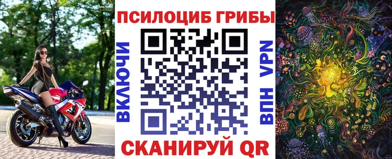 мега как зайти  Щёлкино  Галлюциногенные грибы Psilocybe  магазин  наркотиков 